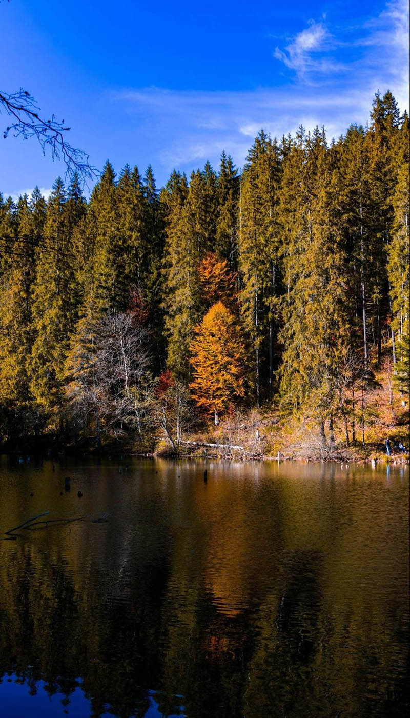 camera góc dọc iphone 11 pro max