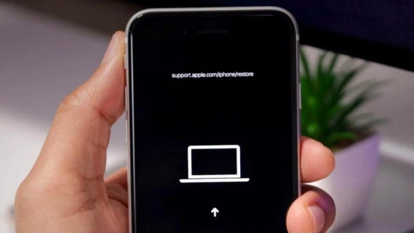 ip sạc không vào pin