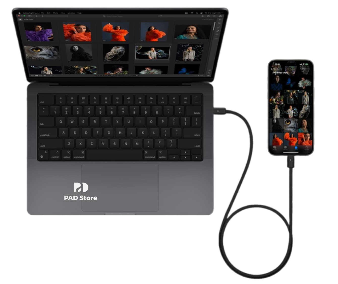 picture18_1694852838