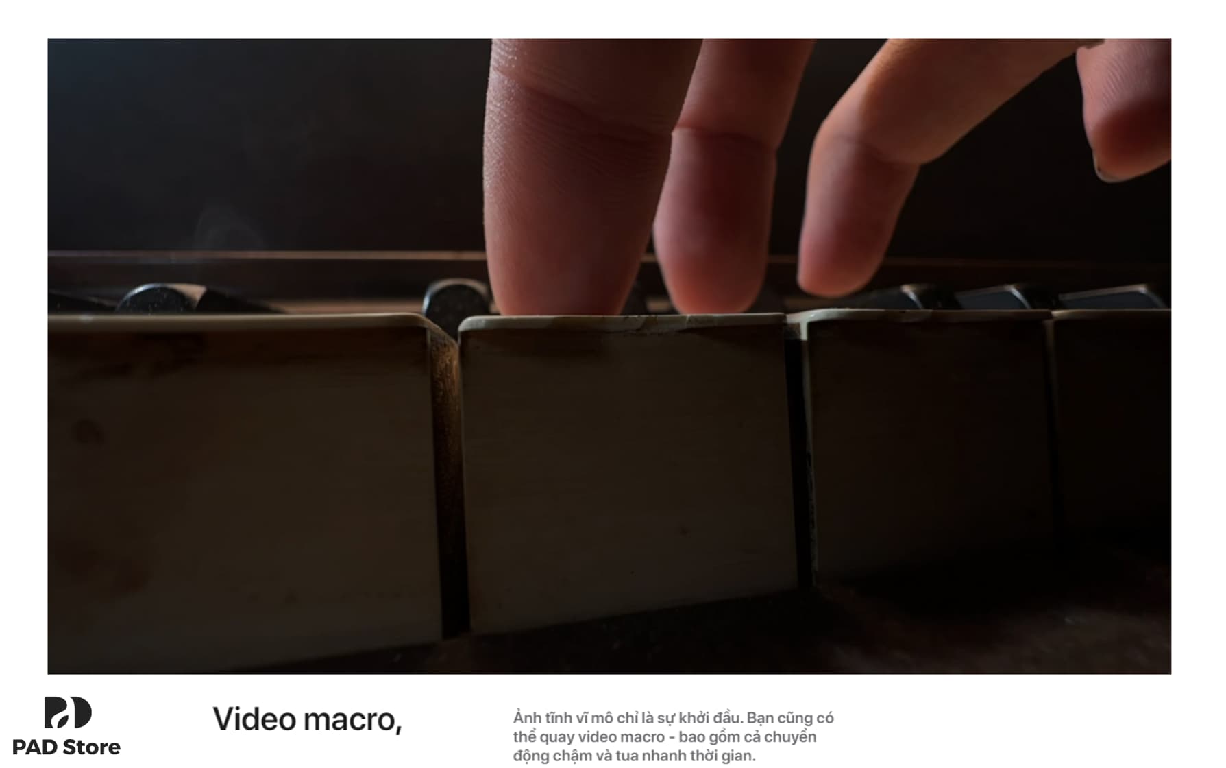 iphone_13_pro_max_camera_15_1632546503