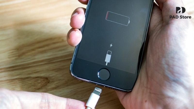 Giá sửa chữa cụm sạc tại PAD Store đã bao gồm công thay thế và linh kiện chính hãng