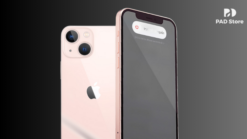 PAD Store cung cấp dịch vụ thu cũ đổi mới, giúp bạn lên đời iPhone mới dễ dàng