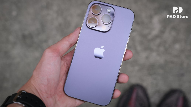 Bên cạnh miếng dán màn hình, ốp lưng cũng là phụ kiện không thể thiếu để bảo vệ iPhone 14 Pro khỏi những va đập, trầy xước