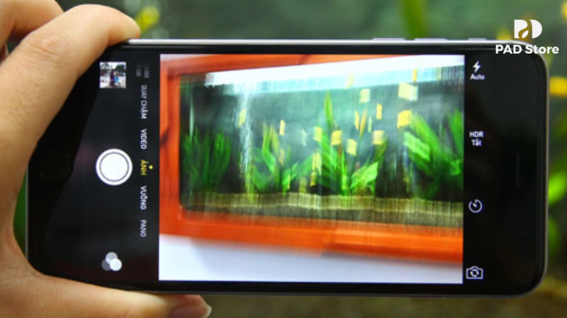 Camera iPhone 11 còn có thể gặp phải tình trạng chụp ảnh bị mờ, nhòe và ám màu