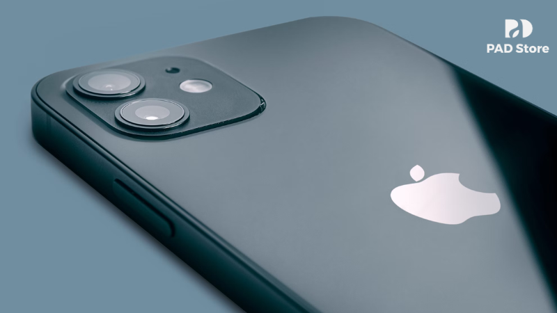 Nếu bạn đang tìm kiếm địa chỉ thay camera iPhone 11 uy tín tại TP.HCM, PAD Store chính là sự lựa chọn hàng đầu.