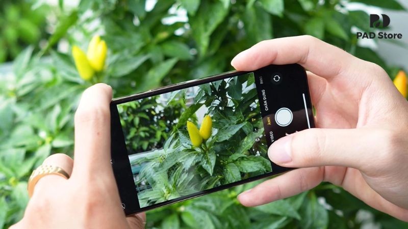 Khả năng lấy nét tự động (autofocus) đã bị lỗi khiến ảnh chụp bị mờ, không rõ chủ thể.