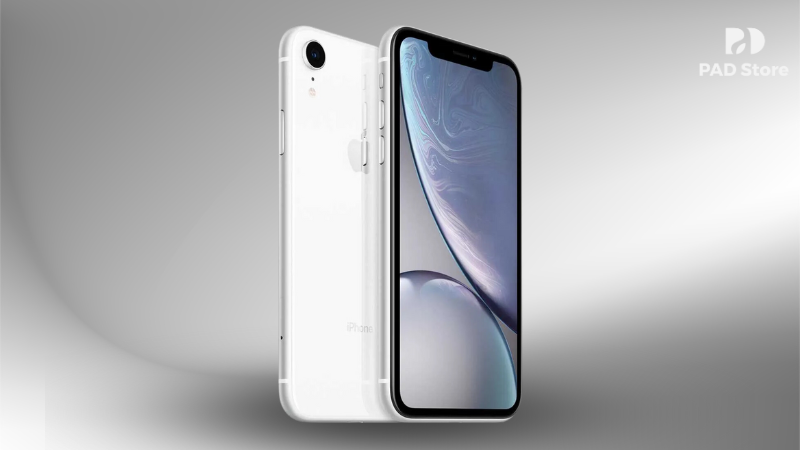 Kỹ thuật viên PAD Store tiếp nhận iPhone Xr