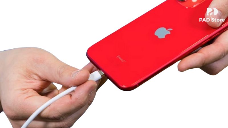 Sau khi thay cụm sạc iPhone 13 tại PAD Store, quý khách hàng sẽ được hưởng chính sách bảo hành dài hạn