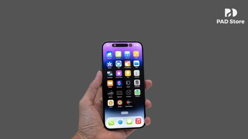 Tại PAD Store, chúng tôi luôn đặt khách hàng lên hàng đầu