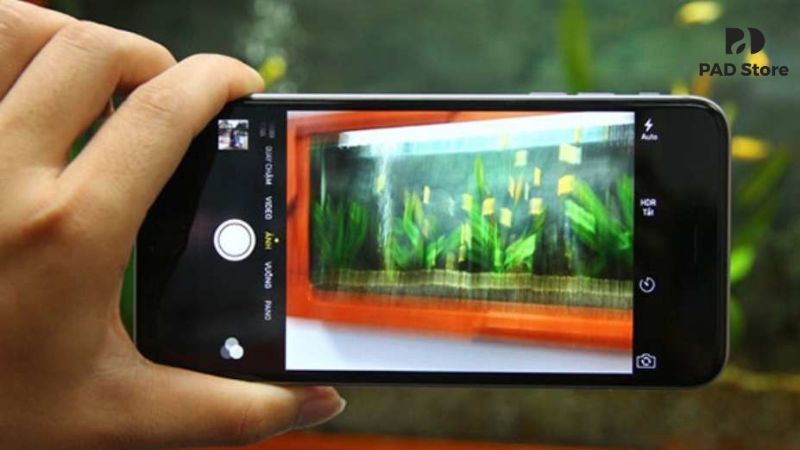 Camera gặp trục trặc, chất lượng ảnh và trải nghiệm người dùng sẽ bị ảnh hưởng