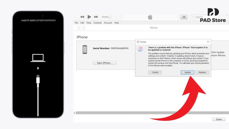 Màn hình hiển thị biểu tượng sợi cáp và hãy chọn lệnh Update trên máy tính