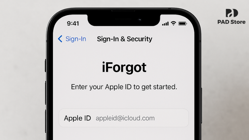 Nhập chính xác địa chỉ email Apple ID và số điện thoại được liên kết để xác thực danh tính