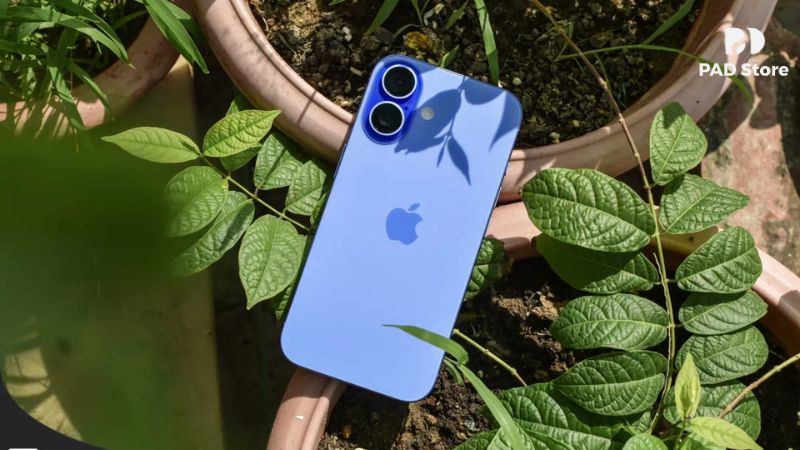 Mua iPhone 16 Like New Tặng Sạc 20W Chính Hãng Tại PAD Store