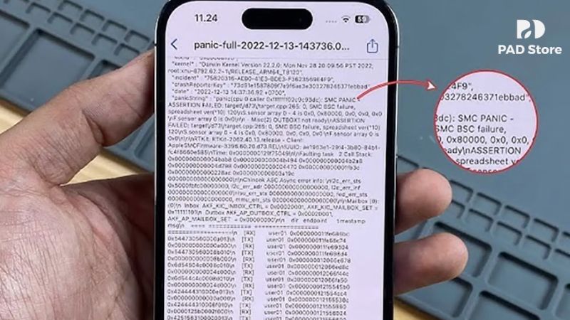 Khi kết nối iPhone với máy tính qua iTunes hoặc Finder, phần mềm đôi khi sẽ hiển thị thông báo lỗi liên quan đến panic log hoặc yêu cầu khôi phục máy